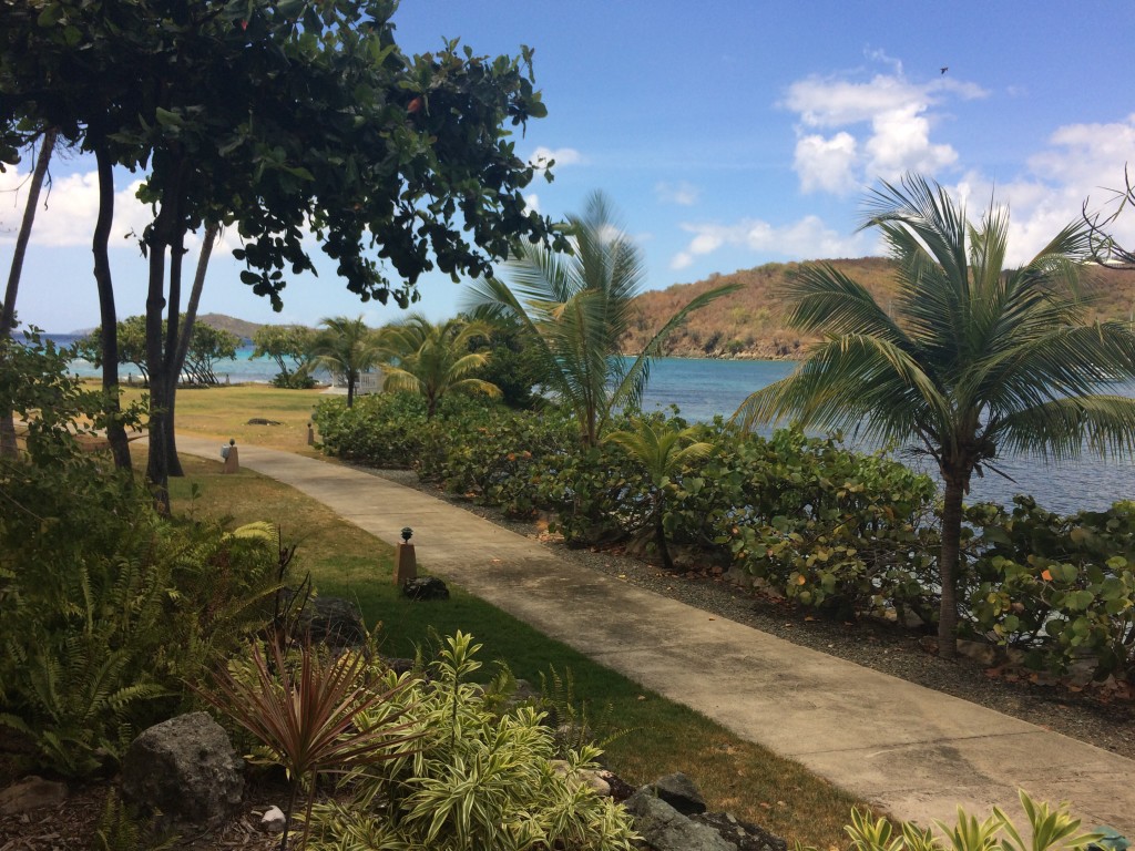 gallows point st. john usvi 